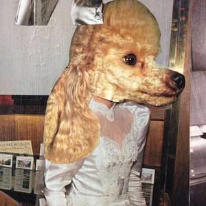 Meet your Posher, Alaina